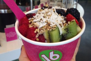 16 Handles