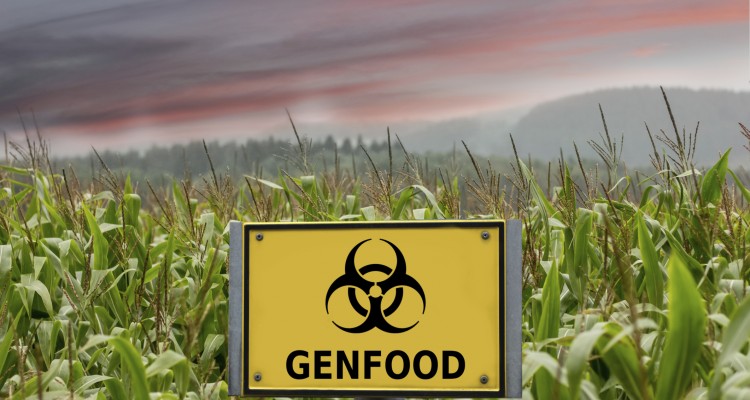 GMOs