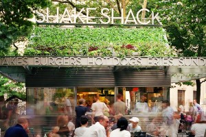 Shake Shack Madison Square Park