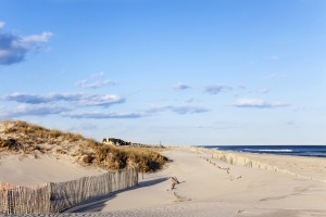 Travel to the Hamptons