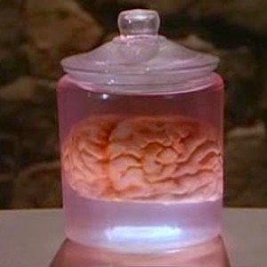 Profile picture of The Brain